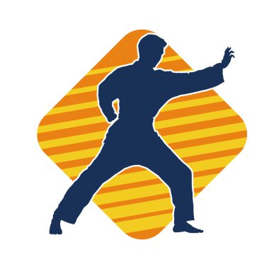 Doğu dövüş sanatı pozu veren bir adamın silueti. Dövüş sanatlarında bir erkeğin silueti..