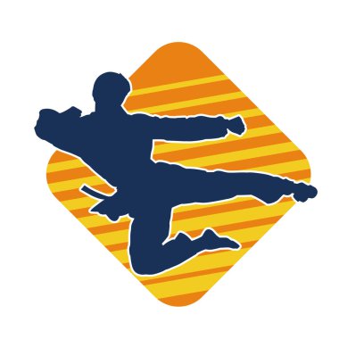 Doğu dövüş sanatı pozu veren bir adamın silueti. Dövüş sanatlarında bir erkeğin silueti..