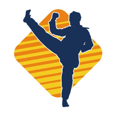 Erkek tekvando ustasının silueti iş başında..