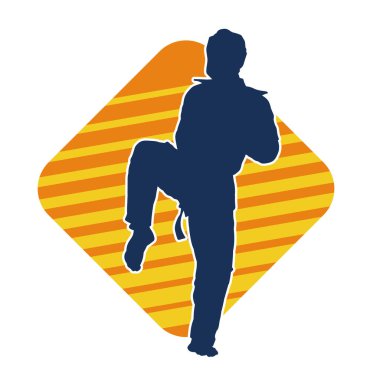 Erkek tekvando ustasının silueti iş başında..