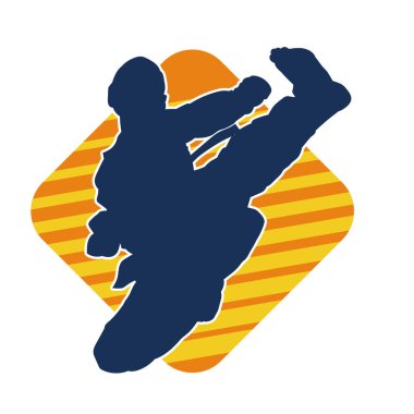 Dövüş sanatları pozu veren bir erkeğin silueti. Dövüş sanatları ustasının silueti tekme atma pozu veriyor..