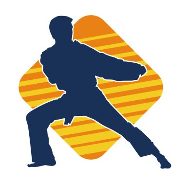 Doğu dövüş sanatı pozu veren bir adamın silueti. Dövüş sanatlarında bir erkeğin silueti..