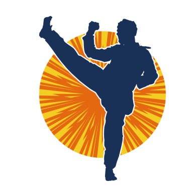 Erkek tekvando ustasının silueti iş başında..