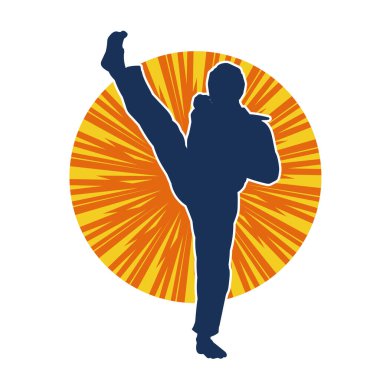 Erkek tekvando ustasının silueti iş başında..