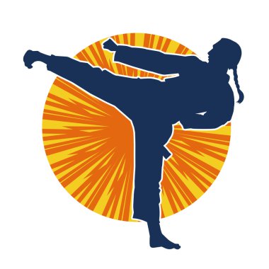 Dövüş sanatları tekmesi pozu veren bir kadının silueti. Dövüş sanatlarındaki bir kadının silueti tekme atma pozu veriyor..