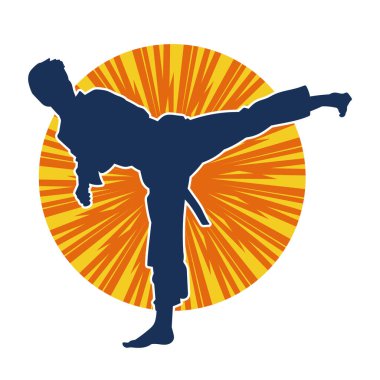 Dövüş sanatları pozu veren bir erkeğin silueti. Dövüş sanatları ustasının silueti tekme atma pozu veriyor..