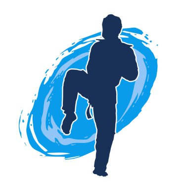 Erkek tekvando ustasının silueti iş başında..