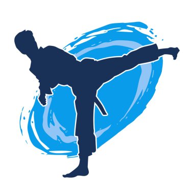 Dövüş sanatları pozu veren bir erkeğin silueti. Dövüş sanatları ustasının silueti tekme atma pozu veriyor..