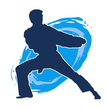 Doğu dövüş sanatı pozu veren bir adamın silueti. Dövüş sanatlarında bir erkeğin silueti..