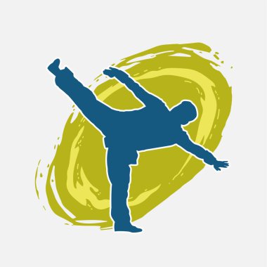 Dövüş sanatları pozu veren bir erkeğin silueti. Dövüş sanatları ustasının silueti tekme atma pozu veriyor..