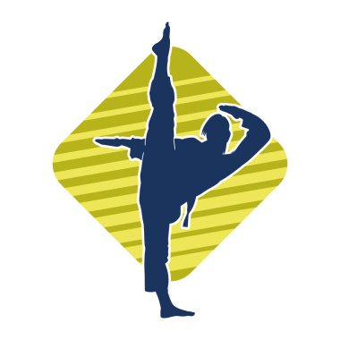 Dövüş sanatları tekmesi pozu veren bir kadının silueti. Dövüş sanatlarındaki bir kadının silueti tekme atma pozu veriyor..