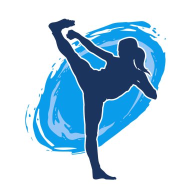 Dövüş sanatları tekmesi pozu veren bir kadının silueti. Dövüş sanatlarındaki bir kadının silueti tekme atma pozu veriyor..