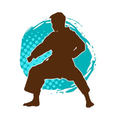 Doğu dövüş sanatı pozu veren bir adamın silueti. Dövüş sanatlarında bir erkeğin silueti..