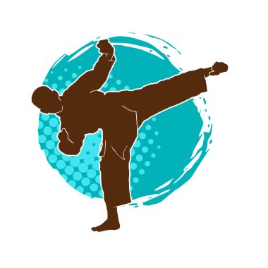 Dövüş sanatları tekmesi pozu veren bir erkek modelin silueti. Dövüş sanatlarının silueti..