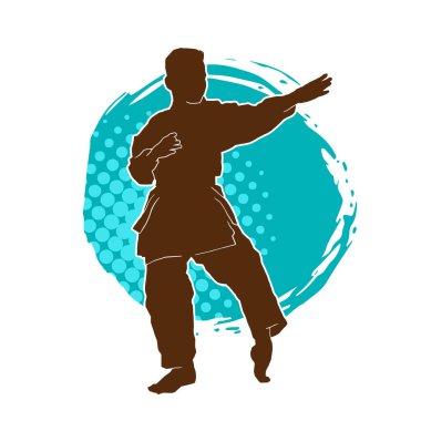 Doğu dövüş sanatı pozu veren bir adamın silueti. Dövüş sanatlarında bir erkeğin silueti..