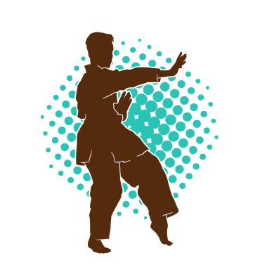 Doğu dövüş sanatı pozu veren bir adamın silueti. Dövüş sanatlarında bir erkeğin silueti..