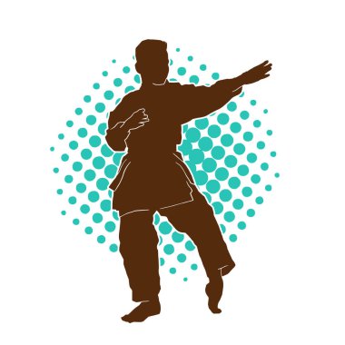 Doğu dövüş sanatı pozu veren bir adamın silueti. Dövüş sanatlarında bir erkeğin silueti..