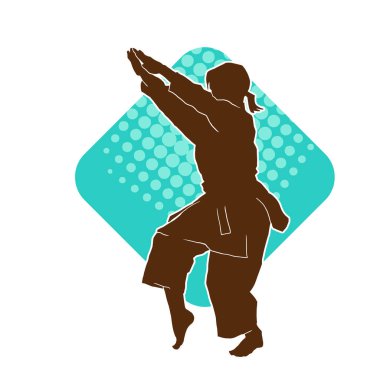 Dövüş sanatları yapan zayıf bir kadının silueti. Dövüş sanatlarında çalışan bir kadının silueti..