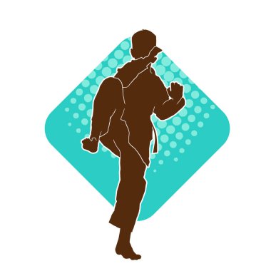 Doğu dövüş sanatı pozu veren bir adamın silueti. Dövüş sanatlarında bir erkeğin silueti..