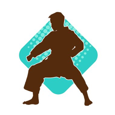 Doğu dövüş sanatı pozu veren bir adamın silueti. Dövüş sanatlarında bir erkeğin silueti..