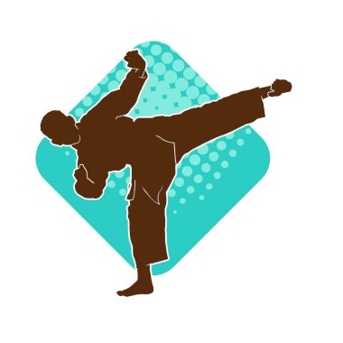 Dövüş sanatları tekmesi pozu veren bir erkek modelin silueti. Dövüş sanatlarının silueti..