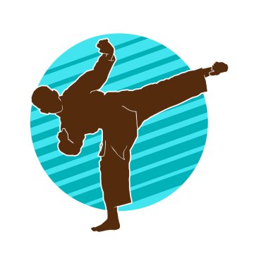 Dövüş sanatları tekmesi pozu veren bir erkek modelin silueti. Dövüş sanatlarının silueti..