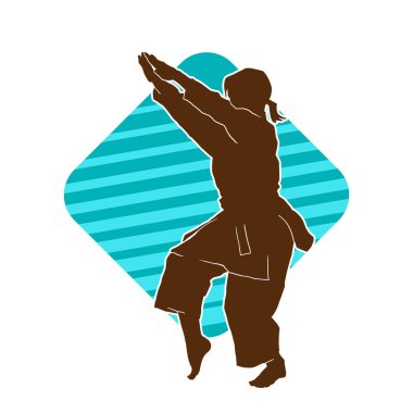 Dövüş sanatları yapan zayıf bir kadının silueti. Dövüş sanatlarında çalışan bir kadının silueti..