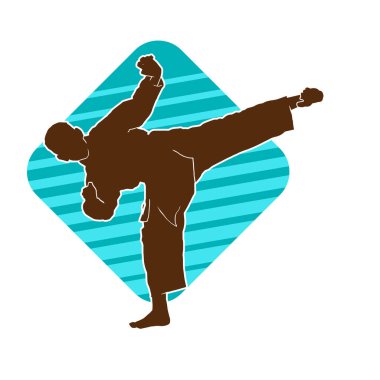 Dövüş sanatları tekmesi pozu veren bir erkek modelin silueti. Dövüş sanatlarının silueti..