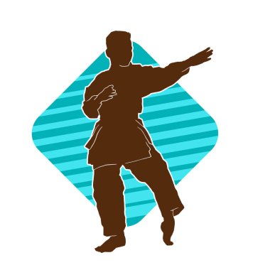 Doğu dövüş sanatı pozu veren bir adamın silueti. Dövüş sanatlarında bir erkeğin silueti..