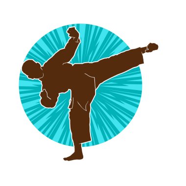 Dövüş sanatları tekmesi pozu veren bir erkek modelin silueti. Dövüş sanatlarının silueti..