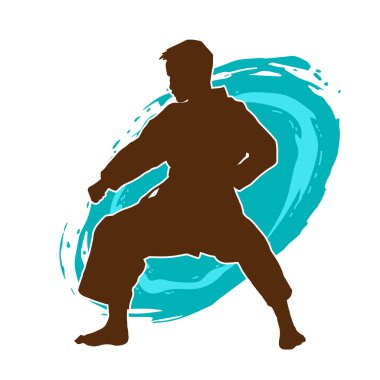 Doğu dövüş sanatı pozu veren bir adamın silueti. Dövüş sanatlarında bir erkeğin silueti..