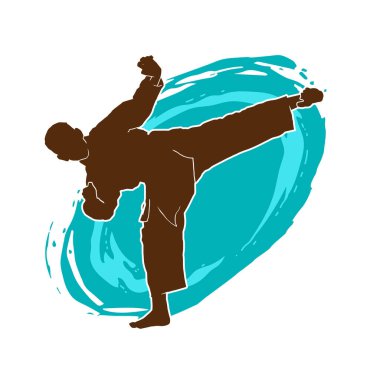 Dövüş sanatları tekmesi pozu veren bir erkek modelin silueti. Dövüş sanatlarının silueti..