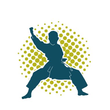 Doğu dövüş sanatı pozu veren bir adamın silueti. Dövüş sanatlarında bir erkeğin silueti..