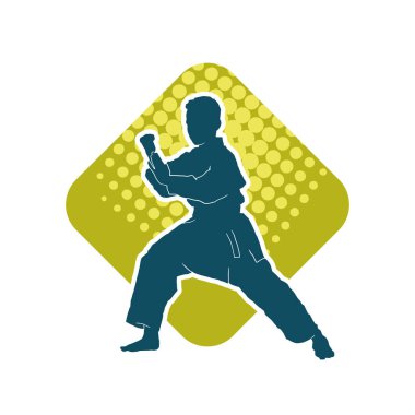 Doğu dövüş sanatı pozu veren bir adamın silueti. Dövüş sanatlarında bir erkeğin silueti..