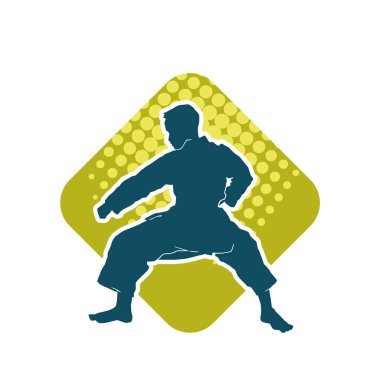 Doğu dövüş sanatı pozu veren bir adamın silueti. Dövüş sanatlarında bir erkeğin silueti..