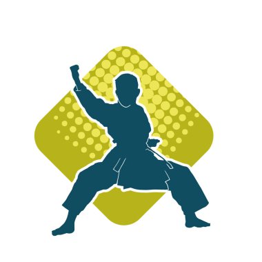 Doğu dövüş sanatı pozu veren bir adamın silueti. Dövüş sanatlarında bir erkeğin silueti..