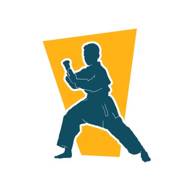 Doğu dövüş sanatı pozu veren bir adamın silueti. Dövüş sanatlarında bir erkeğin silueti..