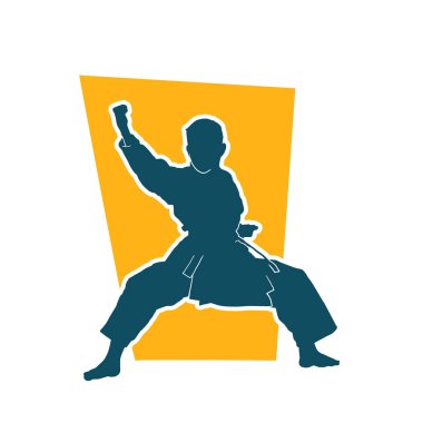 Doğu dövüş sanatı pozu veren bir adamın silueti. Dövüş sanatlarında bir erkeğin silueti..