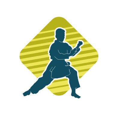 Doğu dövüş sanatı pozu veren bir adamın silueti. Dövüş sanatlarında bir erkeğin silueti..