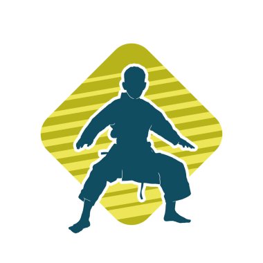 Doğu dövüş sanatı pozu veren bir adamın silueti. Dövüş sanatlarında bir erkeğin silueti..