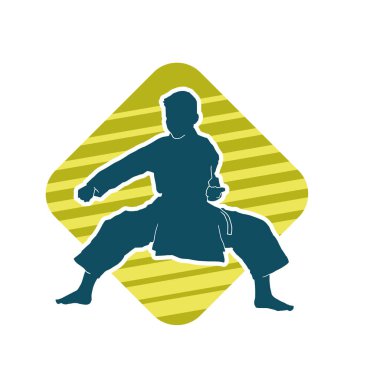 Doğu dövüş sanatı pozu veren bir adamın silueti. Dövüş sanatlarında bir erkeğin silueti..