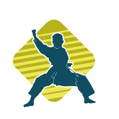 Doğu dövüş sanatı pozu veren bir adamın silueti. Dövüş sanatlarında bir erkeğin silueti..