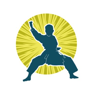 Doğu dövüş sanatı pozu veren bir adamın silueti. Dövüş sanatlarında bir erkeğin silueti..