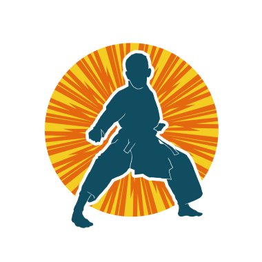 Doğu dövüş sanatı pozu veren bir adamın silueti. Dövüş sanatlarında bir erkeğin silueti..