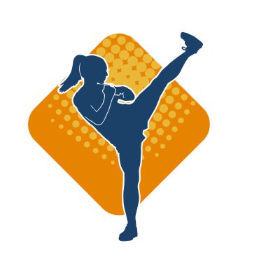 Dövüş sanatları tekmesi pozu veren bir kadının silueti. Dövüş sanatlarındaki bir kadının silueti tekme atma pozu veriyor..