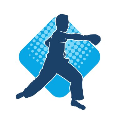 Doğu dövüş sanatı pozu veren bir adamın silueti. Dövüş sanatlarında bir erkeğin silueti..