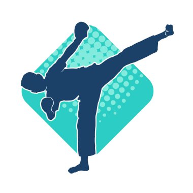 Dövüş sanatları pozu veren bir erkeğin silueti. Dövüş sanatları ustasının silueti tekme atma pozu veriyor..