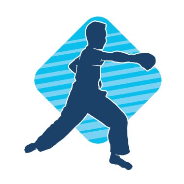 Doğu dövüş sanatı pozu veren bir adamın silueti. Dövüş sanatlarında bir erkeğin silueti..