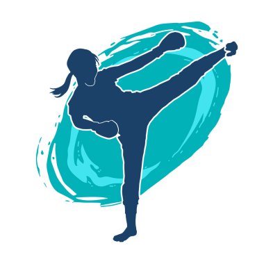 Dövüş sanatları tekmesi pozu veren bir kadının silueti. Dövüş sanatlarındaki bir kadının silueti tekme atma pozu veriyor..