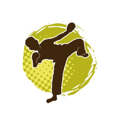 Dövüş sanatları pozu veren bir erkeğin silueti. Dövüş sanatları ustasının silueti tekme atma pozu veriyor..